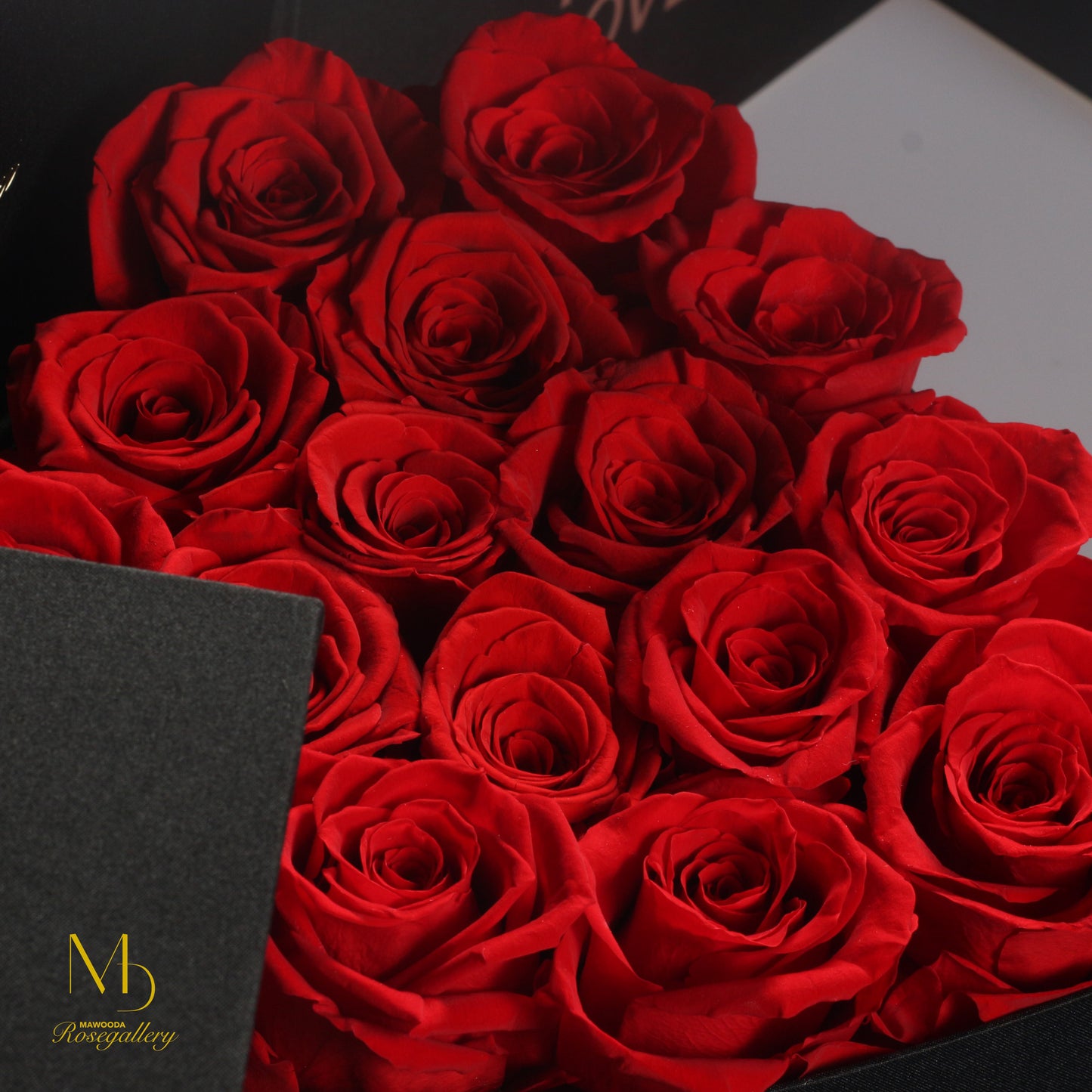 MD LUXURY ROSENBOX